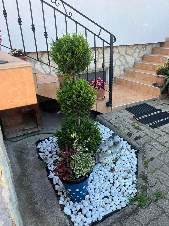 Rege Apartman Alsóörs Extérieur photo